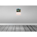 [LA-131656] Blechschild 30x20 cm Dominikanische Republik Strand Shop Bildmotiv Reisemotiv Abenteuer Reisen Urlaub Bild 2