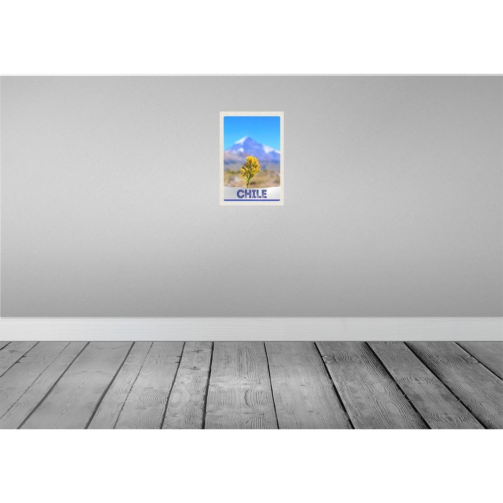 [LA-131664] Blechschild 30x20 cm Chile Blume Gebirge Urlaub Bildmotiv Reisemotiv Abenteuer Reisen Bild 2