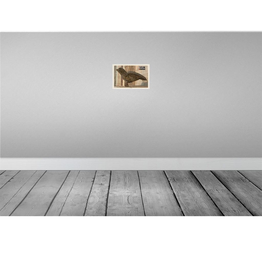 [LA-132228] Blechschild 20x30 cm Ulm Ulmer Spatz Skulptur Bildmotiv Reisemotiv Abenteuer Reisen Urlaub Bild 2