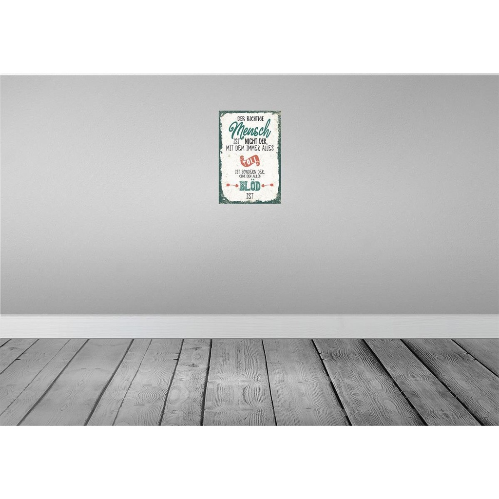 [LA-132368] Blechschild 30x20 cm der richtige Mensch ohne alles blöd Spruch Zitat Bild 2