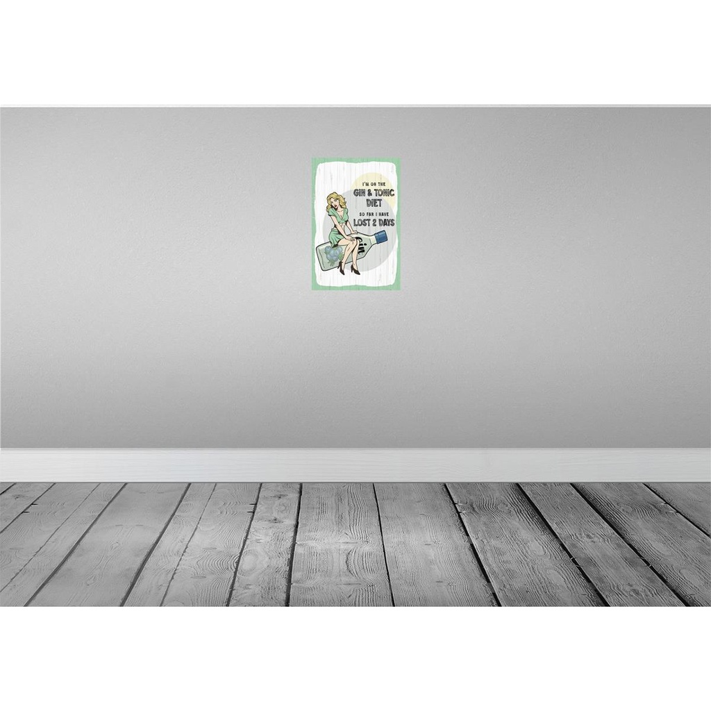 [LA-132395] Blechschild 30x20 cm Pinup I´m on the Gin & Tonic Diet Bild 2