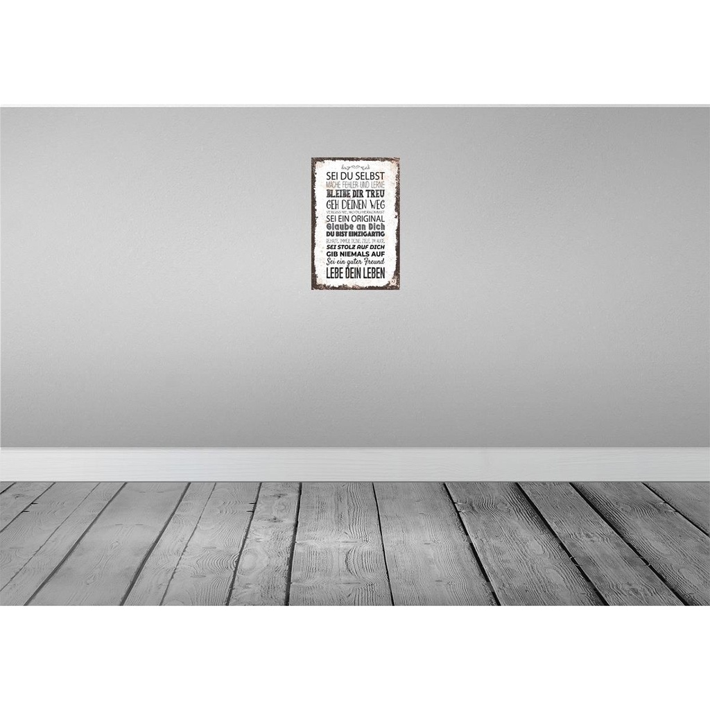 [LA-132414] Blechschild 30x20 cm Sei du selbst mache Fehler lerne Spruch Zitat Bild 2