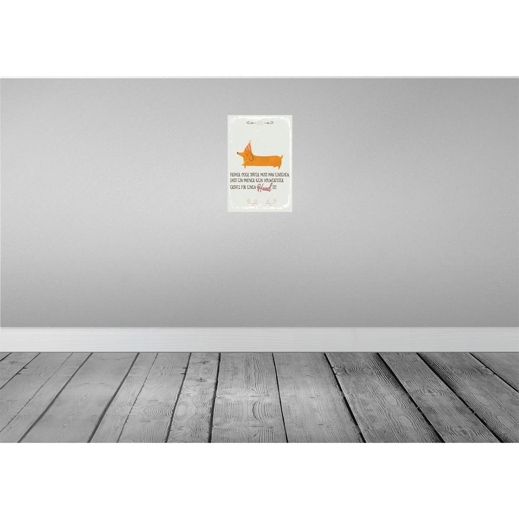 [LA-132523] Blechschild 30x20 cm kein Ersatz für einen Hund Bild 2