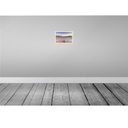 [LA-132710-H] Holzschild 20x30 cm Genf Schweiz Plainpalais Platz Bildmotiv Reisemotiv Abenteuer Reisen Bild 2