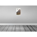 [LA-132776] Blechschild 30x20 cm Rom Italien Urlaub Santa Maria Dell Anima Bildmotiv Reisemotiv Abenteuer Reisen Bild 2