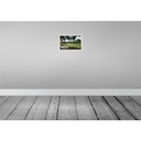 [LA-135308] Blechschild 20x30 cm Abuja Nigeria Millenium Park Bildmotiv Reisemotiv Abenteuer Reisen Urlaub Bild 2