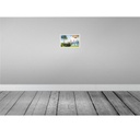 [LA-135484] Blechschild 20x30 cm Miami USA Urlaub City Stadt Meer Palme Bildmotiv Reisemotiv Abenteuer Reisen Bild 2