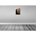 [LA-137117-H] Holzschild 40x30 cm Griechenland Meteora Gebirge Natur Bildmotiv Reisemotiv Europa Bild 2
