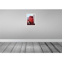 [LA-137451-H] Holzschild 40x30 cm New Orleans Amerika USA Steambot Bildmotiv Reisemotiv Bild 2