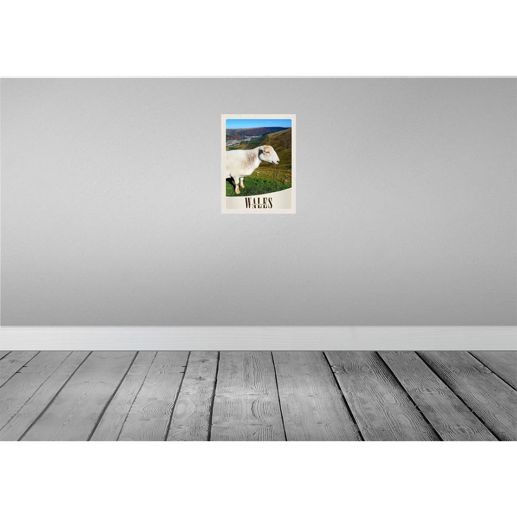 [LA-137512-H] Holzschild 40x30 cm Wales United Kingdom Schaf Wiese Natur Bildmotiv Reisemotiv Europa Bild 2