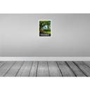 [LA-137514] Blechschild 40x30 cm Yosemite Amerika USA Urlaub Natur Bäume Gebirge Bildmotiv Reisemotiv Abenteuer Reisen Bild 2