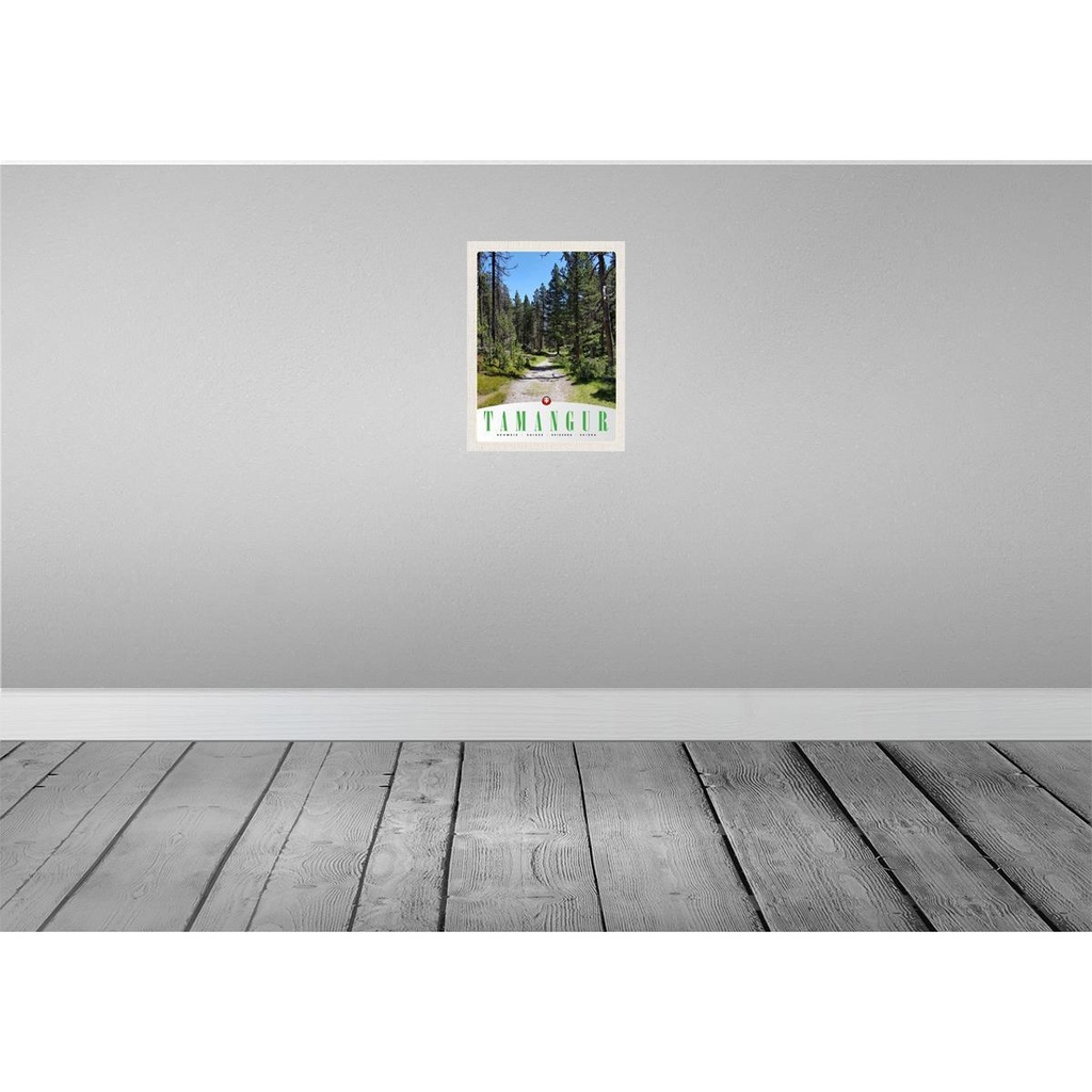 [LA-137577] Blechschild 40x30 cm Tamangur Schweiz Urlaub Natur Wald Bäume Bildmotiv Reisemotiv Abenteuer Reisen Europa Bild 2
