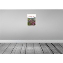 [LA-137784] Blechschild 40x30 cm Pinzgau Österreich Urlaub Blumen Natur Berge Bildmotiv Reisemotiv Abenteuer Reisen Europa Bild 2