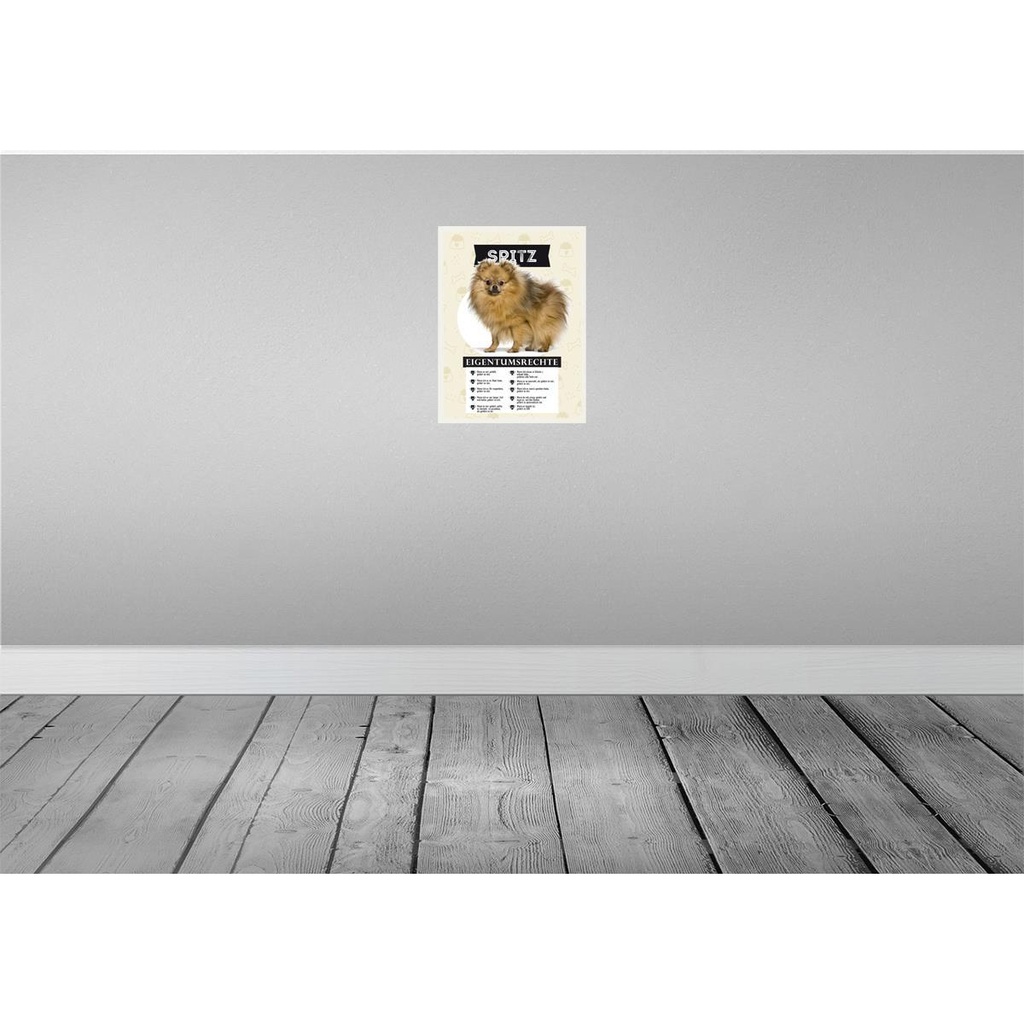 [LA-137870-H] Holzschild 40x30 cm Spitz Eigentumsrechte Tier Haustier Bild 2