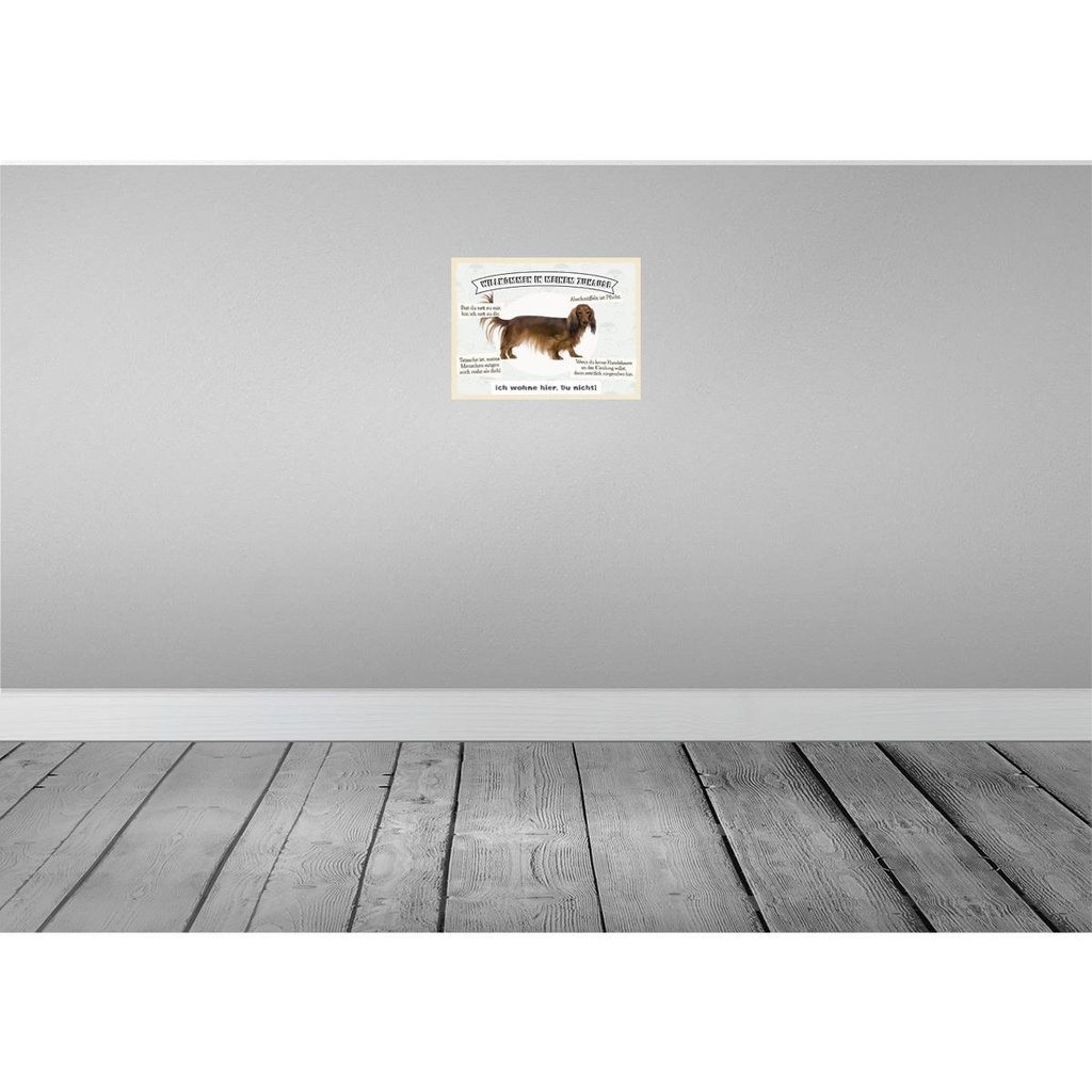 [LA-137933-H] Holzschild 30x40 cm Tiere Hund ich wohne hier du nicht Tier Haustier Bild 2
