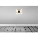 [LA-137937-H] Holzschild 30x40 cm Tiere Pudel willkommen Zuhause Tier Haustier Bild 2
