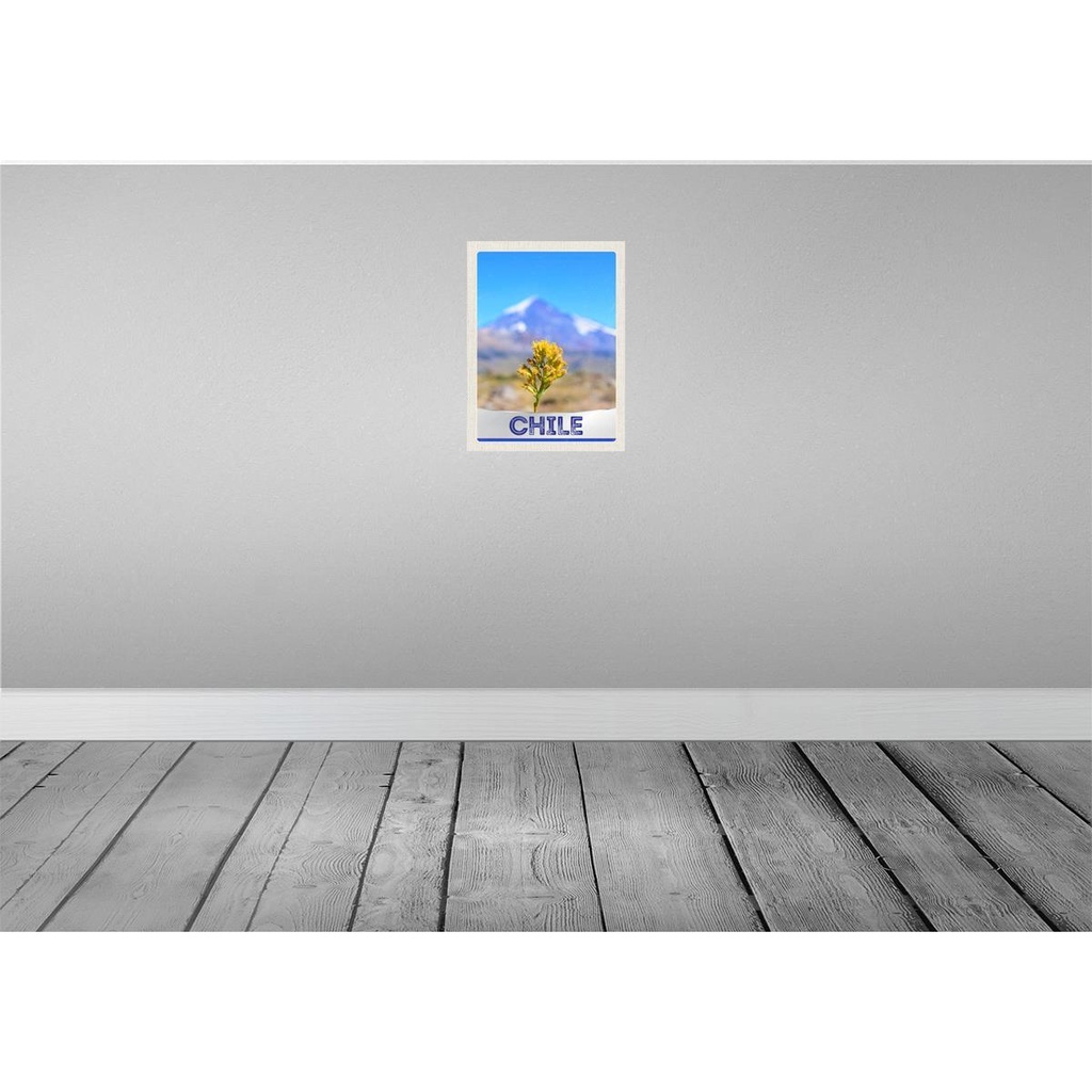 [LA-137994-H] Holzschild 40x30 cm Chile Blume Gebirge Bildmotiv Reisemotiv Amerika USA Bild 2