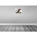 [LA-138376-H] Holzschild 30x40 cm Wuppertal Deutschland Schwebebahn Bildmotiv Reisemotiv Bild 2