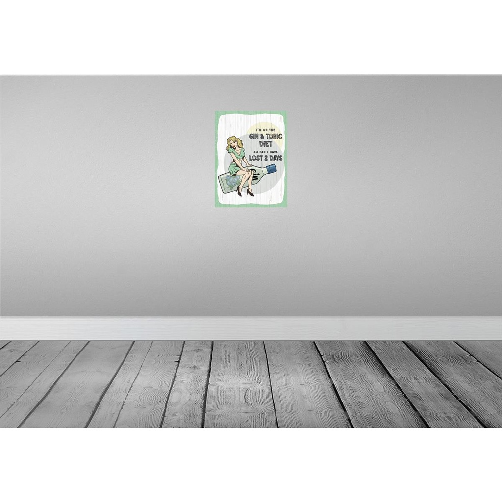 [LA-138582] Blechschild 40x30 cm Pinup I´m on the Gin & Tonic Diet Pin Up Bild 2