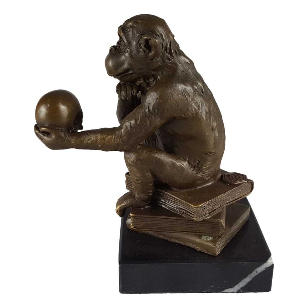 [LA-39281] Bronzeskulptur Bronzefigur Darwin Affe Philosoph Hält Schädel Bild 2