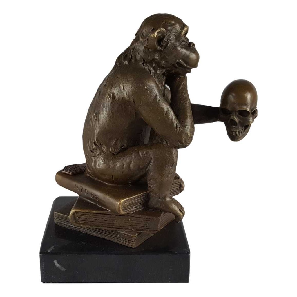 [LA-39281] Bronzeskulptur Bronzefigur Darwin Affe Philosoph Hält Schädel Bild 6