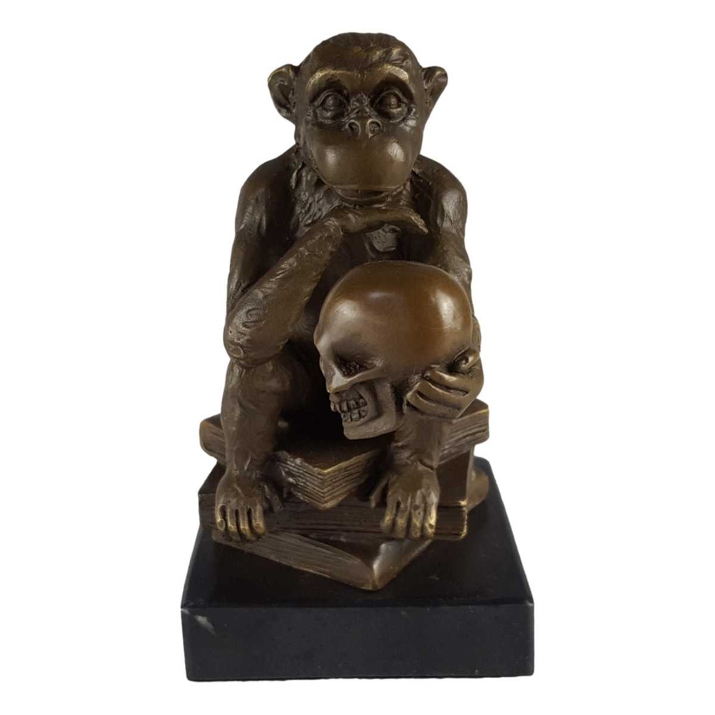 [LA-39281] Bronzeskulptur Bronzefigur Darwin Affe Philosoph Hält Schädel Bild 7