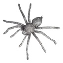 [LA-63698] Zinnfigur Spinne #63698 Bild 2