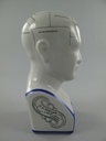 [LA-85754] Figur Skulptur Porzellankopf BLAU!!! H.30x16cm Bild 4