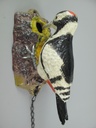 [LA-85835] Türklopfer VOGEL Eisen FARBE H.21x13cm Bild 4