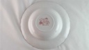 [98180] Suppenteller 22,6 cm Myott Country Life Rot gebraucht - gut Bild 4