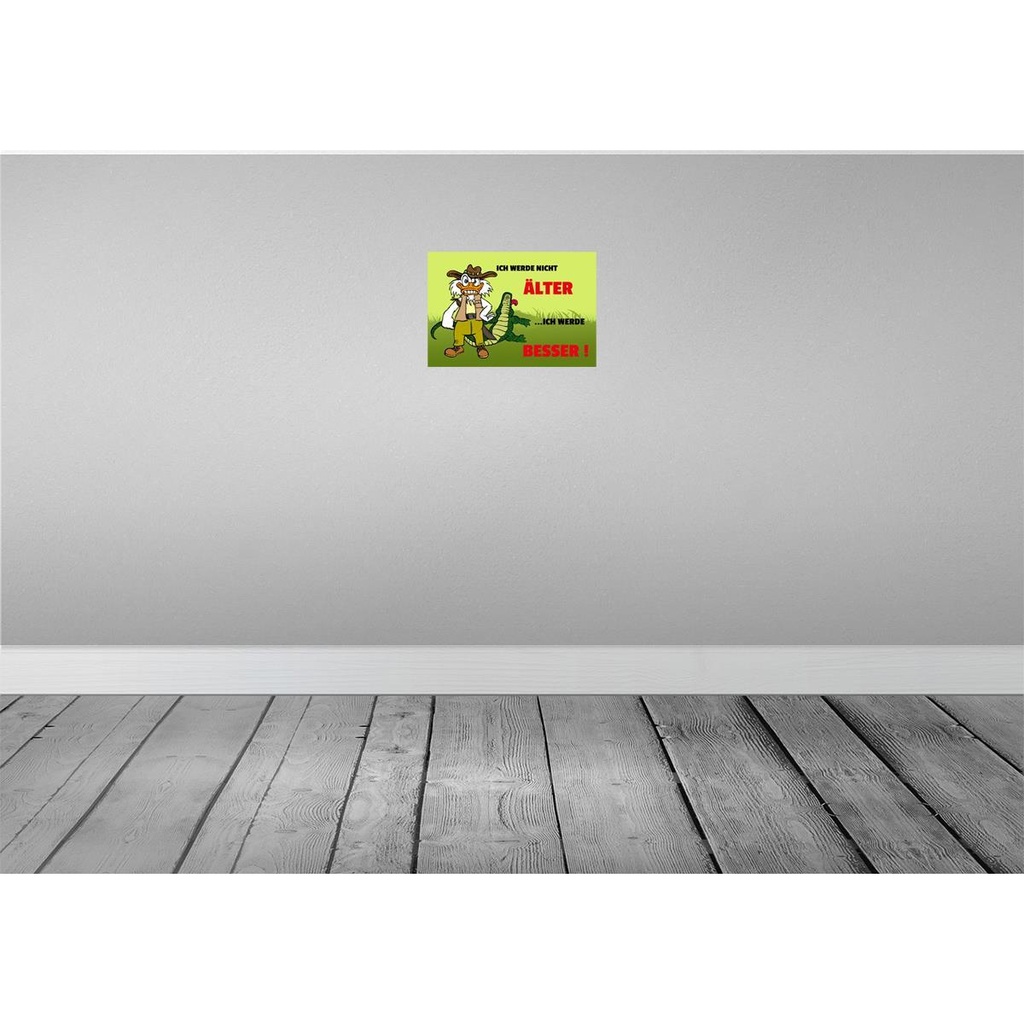 [LA-111837-H] Holzschild 20x30 cm Werde nicht älter besser Dekoration Bild 2