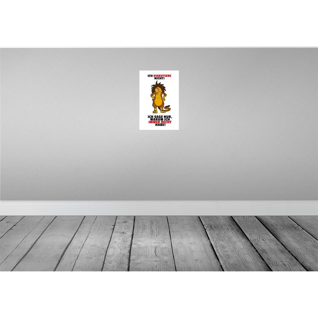 [LA-111911-2030] Blechschild 30x20 cm Ich diskutiere nicht habe Recht Spruch Zitat Bild 2