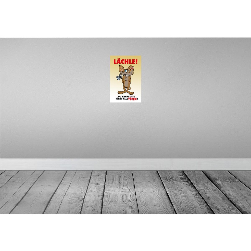 [LA-111916-2030] Blechschild 30x20 cm Lächle Du kannst Sie nicht alle Töten Spruch Zitat Bild 2