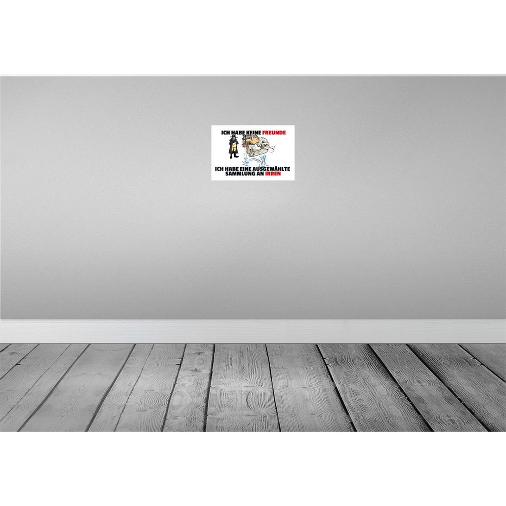[LA-111951-2030] Blechschild 20x30 cm keine Freunde Sammlung an Irren Spruch Zitat Bild 2