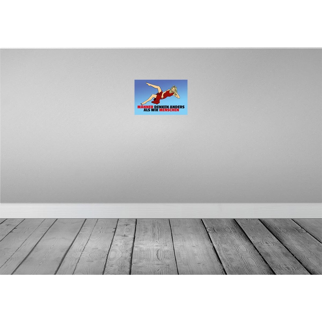 [LA-111969-H] Holzschild 20x30 cm Männer denken anders als wir Menschen Spruch Zitat Bild 2