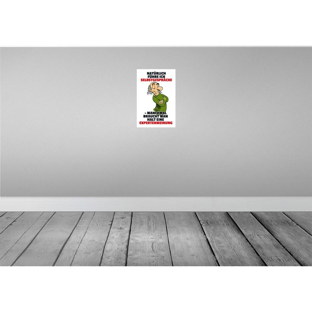 [LA-111978-2030] Blechschild 30x20 cm Selbstgespräche Expertenmeinung Spruch Zitat Bild 2