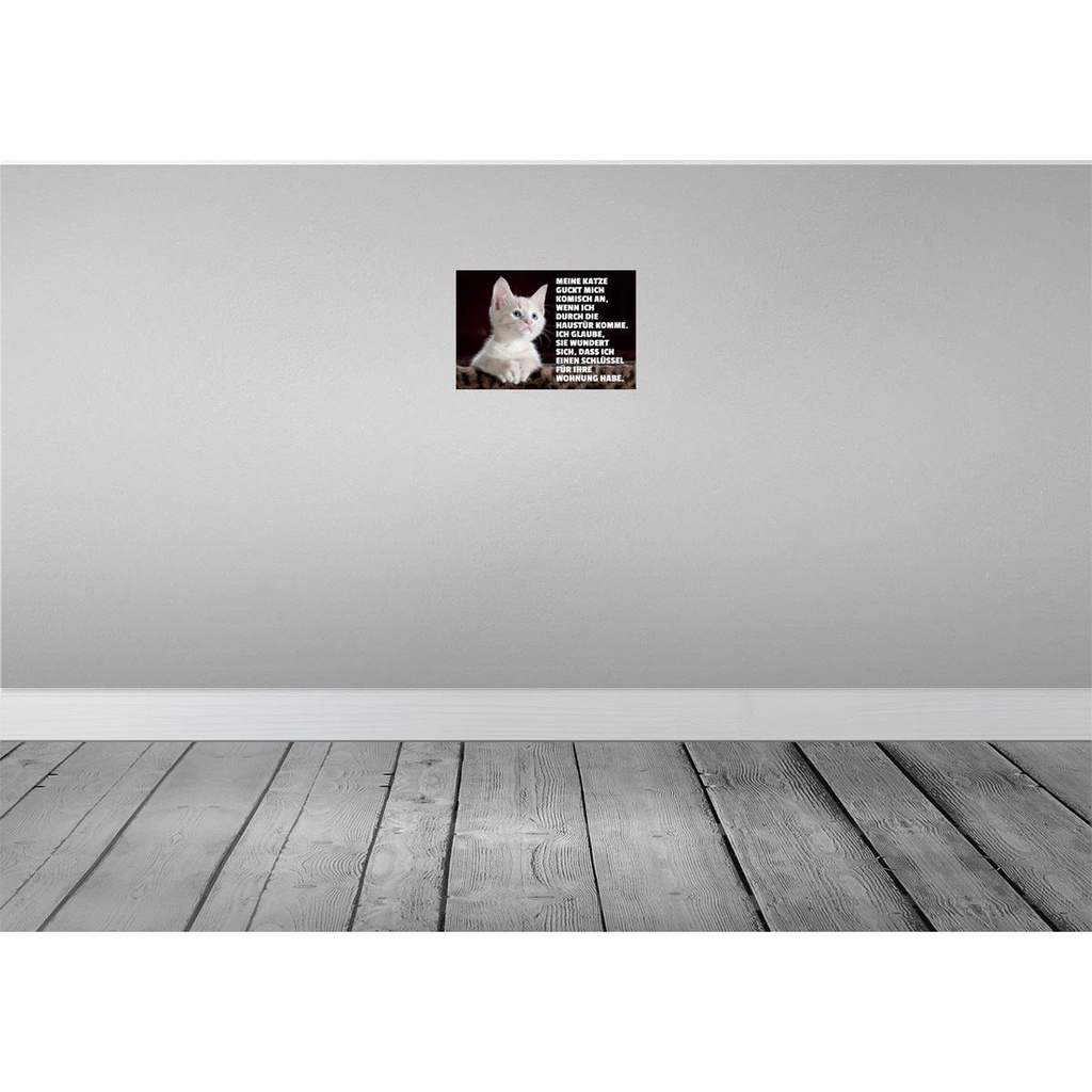 [LA-111999-2030] Blechschild 20x30 cm Katze guckt mich komisch an Tier Haustier Bild 2