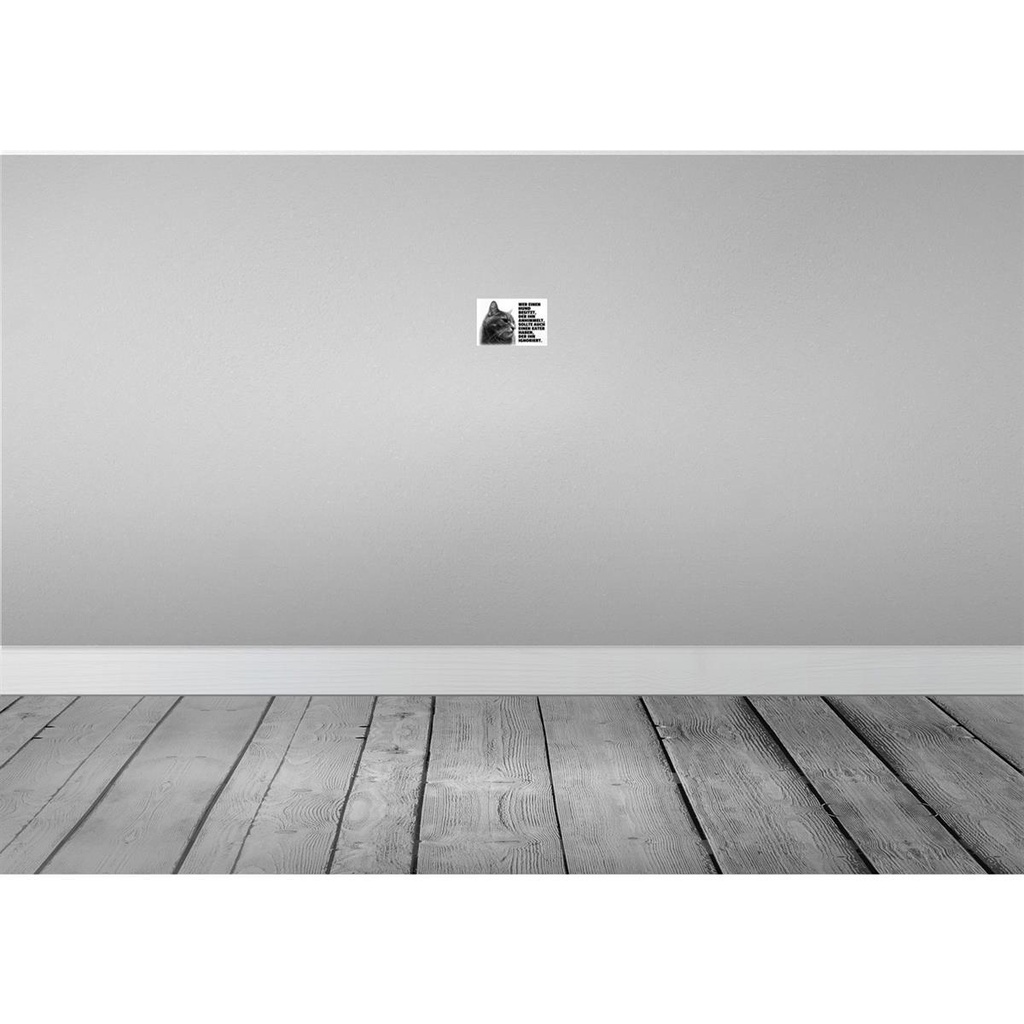 [LA-112001-1812-H] Holzschild 12x18 cm Hund himmelt an Kater ignoriert Tier Haustier Bild 2