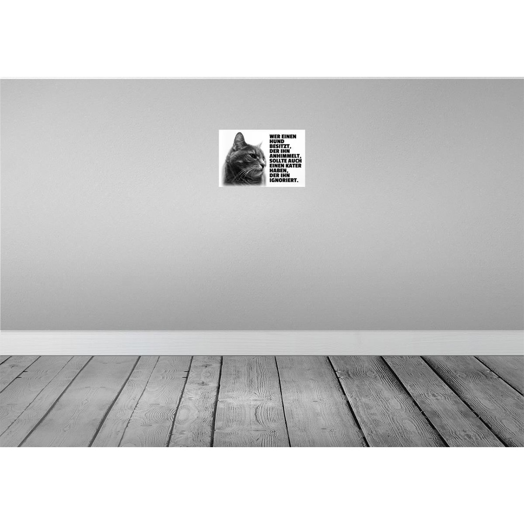 [LA-112001-2030] Blechschild 20x30 cm Hund himmelt an Kater ignoriert Tier Haustier Bild 2