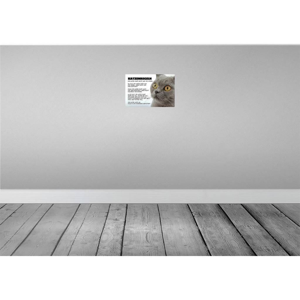[LA-112006-2030] Blechschild 20x30 cm Katzenregeln Katze darf nicht Tier Haustier Bild 2