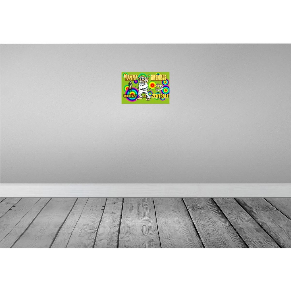 [LA-112071-2030] Blechschild 20x30 cm Welt ist Irrenhaus hier Zentrale Spruch Zitat Bild 2