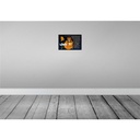 [LA-112157-2030] Blechschild 20x30 cm Sternzeichen Löwe Planet Sonne Dekoration Astrologie Bild 2