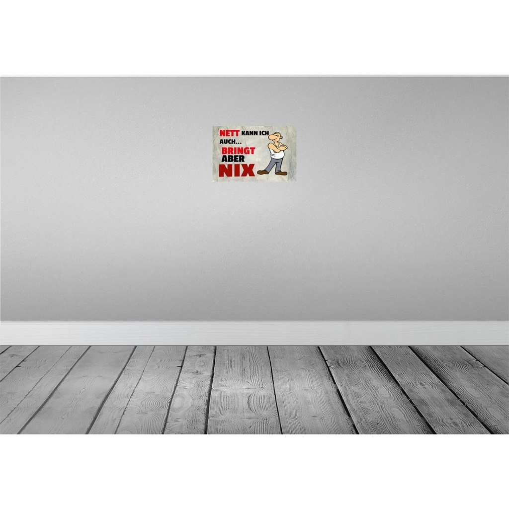 [LA-112193-2030] Blechschild 20x30 cm nett kann ich aubringt aber nix Spruch Zitat Bild 2