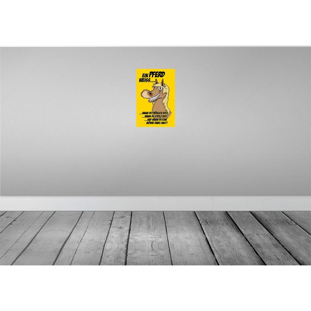 [LA-112217-H] Holzschild 30x20 cm Ein Pferd weiss wann fröhlich Tier Haustier Bild 2