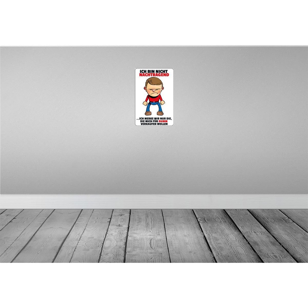 [LA-112233-2030] Blechschild 30x20 cm bin nicht nachtragend merke mir Spruch Zitat Bild 2
