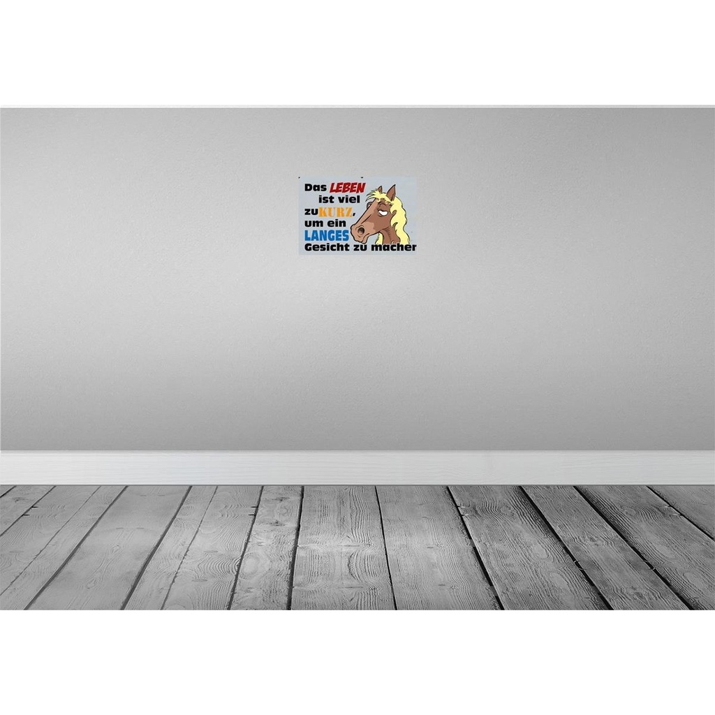 [LA-112333-2030] Blechschild 20x30 cm das Leben ist zu kurz um Pferd Tier Haustier Bild 2