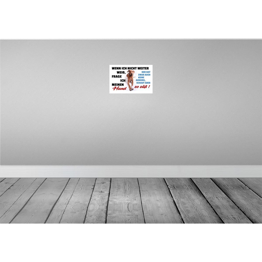 [LA-112519-2030] Blechschild 20x30 cm wenn ich nicht weiter weiß Hund Spruch Zitat Bild 2