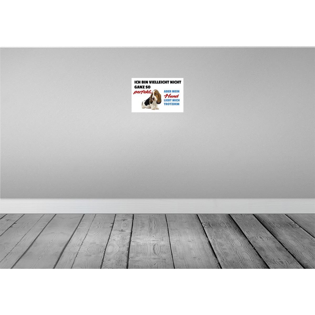 [LA-112521-2030] Blechschild 20x30 cm mein Hund liebt mich trotzdem Tier Haustier Bild 2