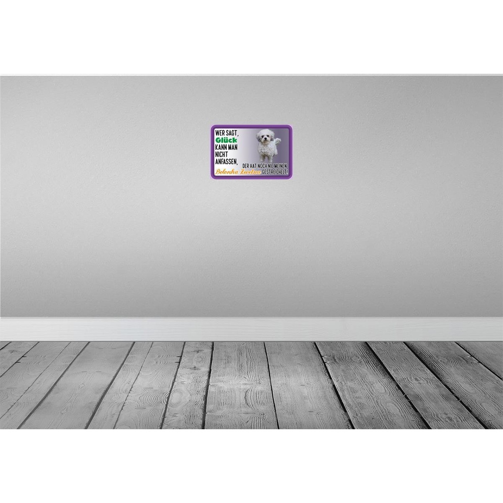 [LA-112525-2030] Blechschild 20x30 cm Glück anfassen Bolonka Zwetna Dekoration Hund Bild 2