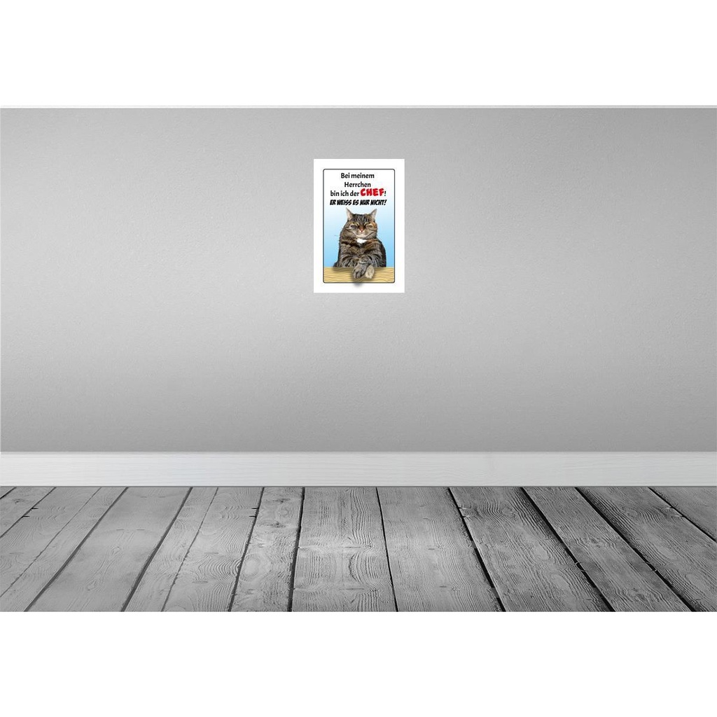 [LA-112569-2030] Blechschild 30x20 cm Katze bei meinem Herrchen Chef Tier Haustier Bild 2